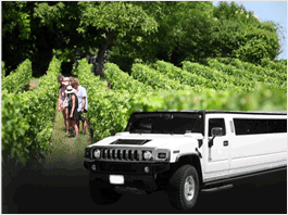 Sausalito Wine Tours Limousine Service