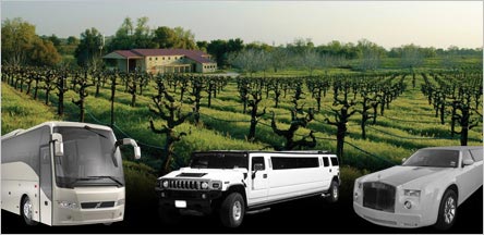 Amador County Wine Tour Limo Service Sausalito