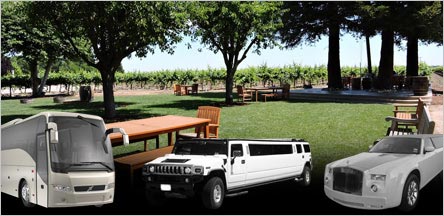 Clarksburg Wine Tours Limo Service Sausalito