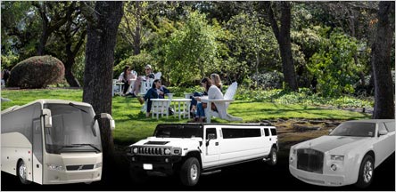 Napa Valley Wine Tour Limo Service Sausalito