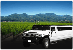 Napa Wine Tours