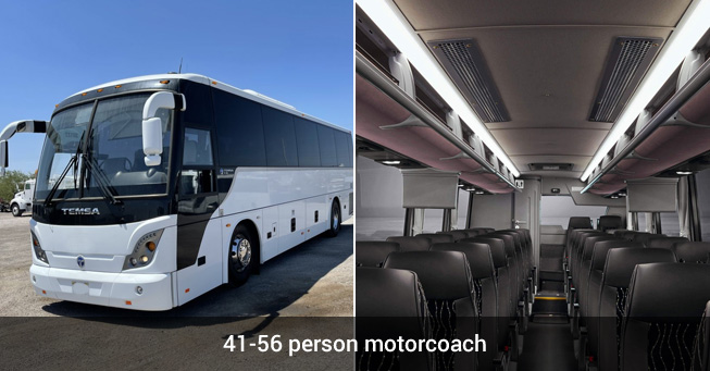 Shuttle bus and Charter bus