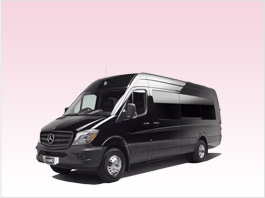 Mercedes Sprinters