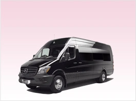 Mercedes Sprinters