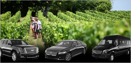 Sausalito Wine Tours Limo Rentals