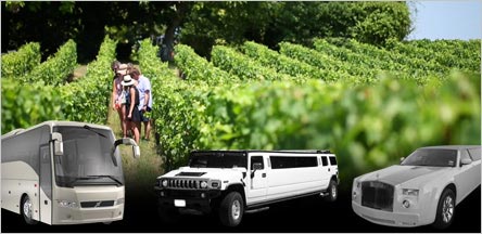 Sausalito Wine Tours Limo Service