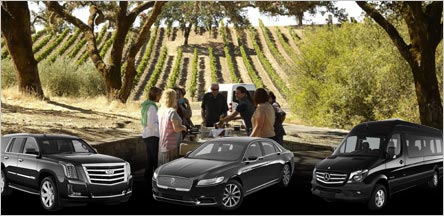 Sonoma Valley Wine Tours Limo Rentals Sausalito