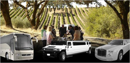 Sonoma Valley Wine Tours Limo Service Sausalito Sonoma Valley Wine Tours Limo Service Sausalito