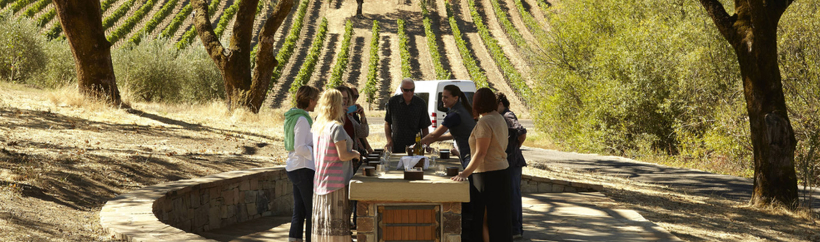 Sonoma Valley Wine Tours Sausalito